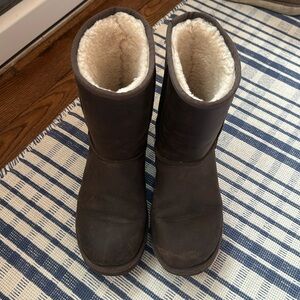 Chocolate Brown Uggs